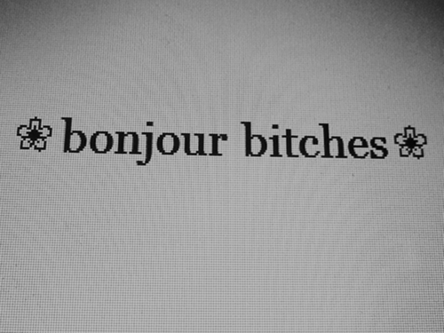 silly-luv:  ♡ find your best posts on my blog ♡