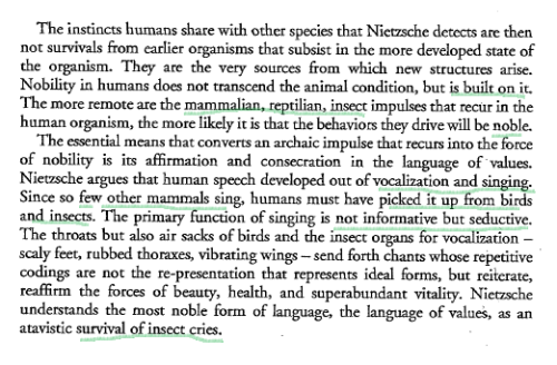 ‘Nietzsche and Animals’, Alphonso Lingis.