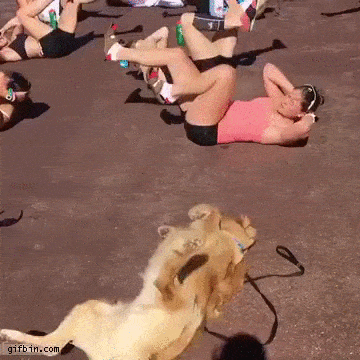 Funny Or Die — 21 Best GIFs Of All Time Of The Week #197 This