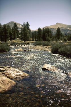 nesola:  Tuolumne Meadows (by Kyle D Adams) 