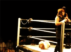  the shield » poughkeepsie house show (x)     