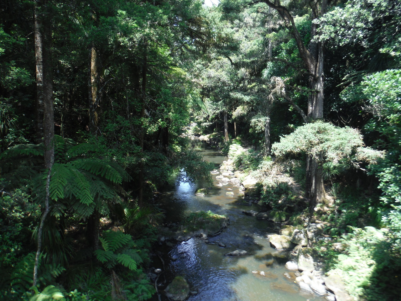 iarebelost:  Nature walks :)
