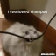 iswallowedshampoo