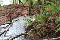 Here’s a few of the shots I took Monday while hiking for my photography class.