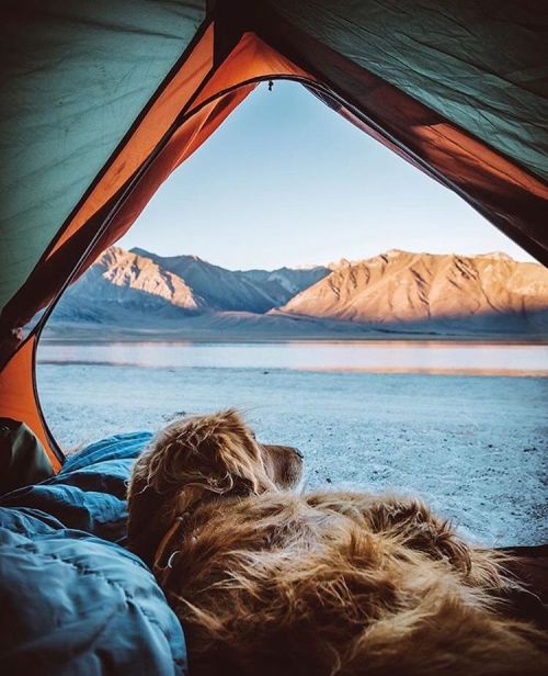 ourcamplife: Photo by: @canevariphoto #ourcamplife