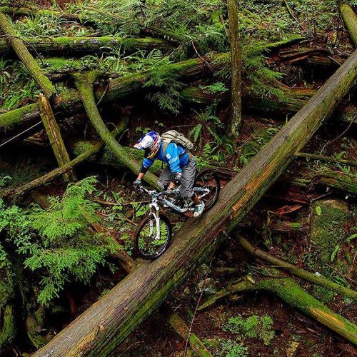 mtbikinglove: Seymour Trail, British Columbia . #mountainbikes #mountainbike #MTB #mtbtrails #mtbtra