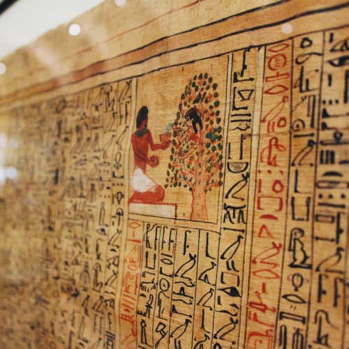 #egypt #papyrus #museoegizio #torino #italy #archeology #photography #history #summer (presso Museo 