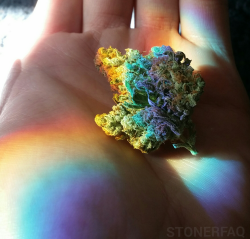 stonerfaq:  I found the end of my Rainbow 