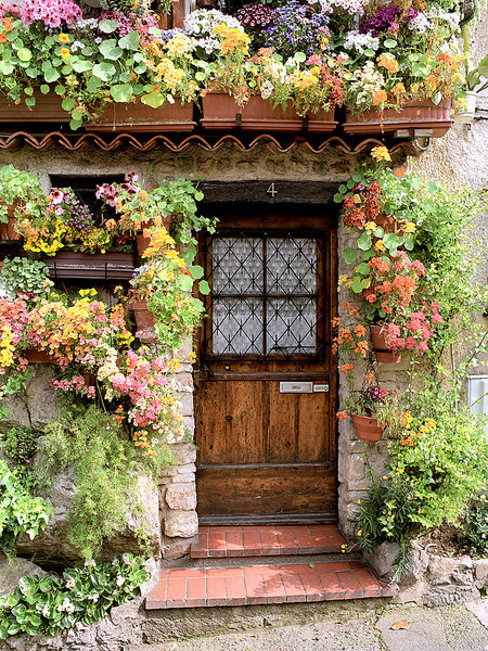 Porn photo trim-the-flowers-honey:  Proven, France |