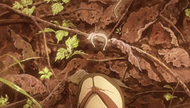 makugen:   Mushishi | One gifset per episode  » Midori no Za [1.01] 