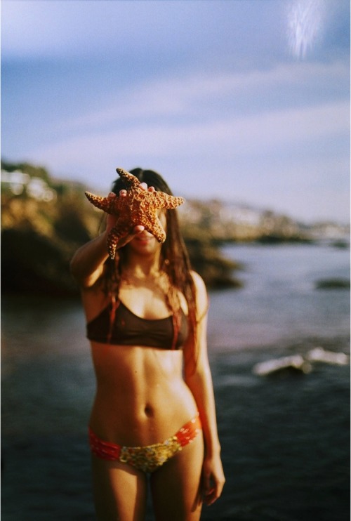 pantography: My photo Shot by Nino Panzarella