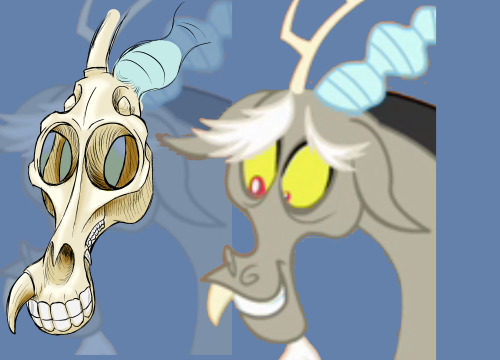 misshapensharks:Finished my Discord skull study! They aren’t perfect and there might be some inconsi