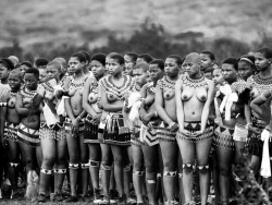 Via Cheehan Ngzulu Reed Dance Kwazulu Natal