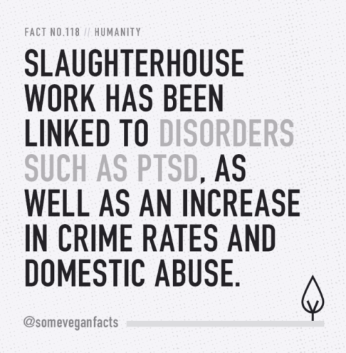 someveganfacts: Fact 118. Slaughterhouse work has been linked to disorders such as PTSD, as well as 