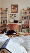 alwaysbringabookwithyou:27.06.2021 This is a cottagecore cat appreciation post. Insta: