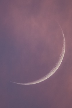 0ce4n-g0d:  This morning's Moon...from Italy... by Gabriella Milani