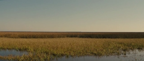 365filmsbyauroranocte:Midnight Special (Jeff Nichols, 2016): landscapes 