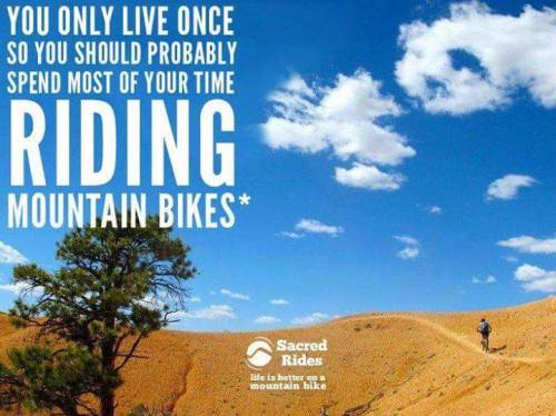 mudddbunnie: ridestoke: Agreed. Get out and pedal. Then put the biggest grin on your face. Yep
