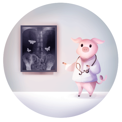 dewieta-art:  You’ve got butterflies in your stomach! 