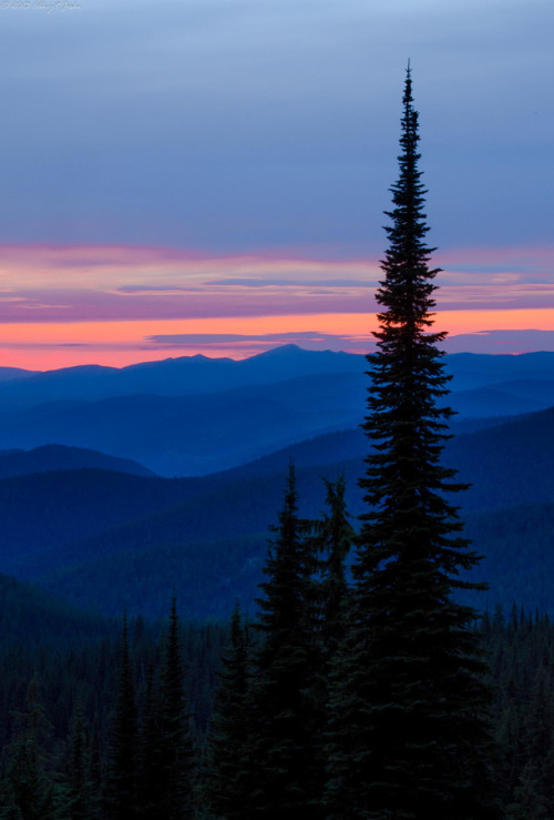 drxgonfly:Idaho Dusk (by Abhijit Joshi)