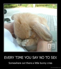 babygirlssweetsurrender:  Don’t make the bunny cry. 