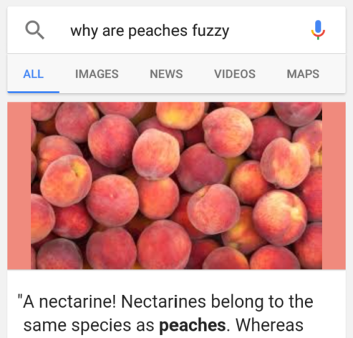 sergeantbabylegs:peaches are fuzzy because A nectarine!