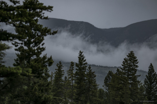 Misty morning in the Highlands: Shoshone National Forest, Wyoming© rivrewindphotography