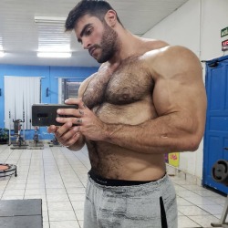 muscleryb:    Felipe Mattos  