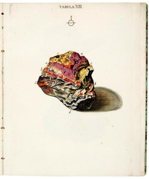 Johann Michael Seligmann, Fossilium Metalla et Res Metallicas – Erz Stüffen und Berg Arten mit Farbe