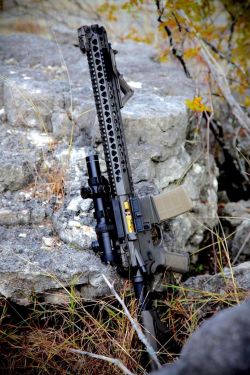 weaponslover:  Salient Arms Int'l AR15 
