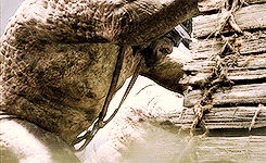 sammywasabi:Our enemy is ready. His full strength’s gathered. Not only Orcs, but Men as well. Legion