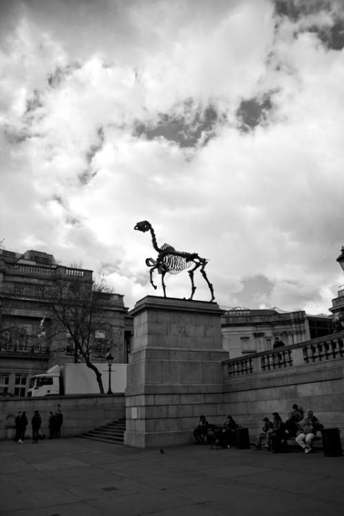 inabigdanceskin: Hans Haacke’s Gift Horse, Fourth Plinth, Trafalgar Square, London. Monday, 7 