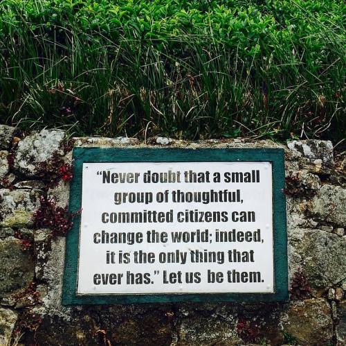 takeflighttonight: ‘Never doubt that a small group of thoughtful, committed citizens can #ChangeTheW