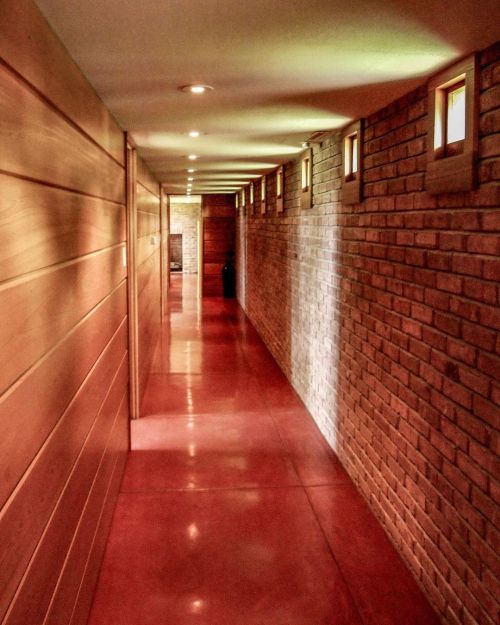 Corridor of Usonia, light and shadows. #franklloydwright #architecture #architecturephotography #mui