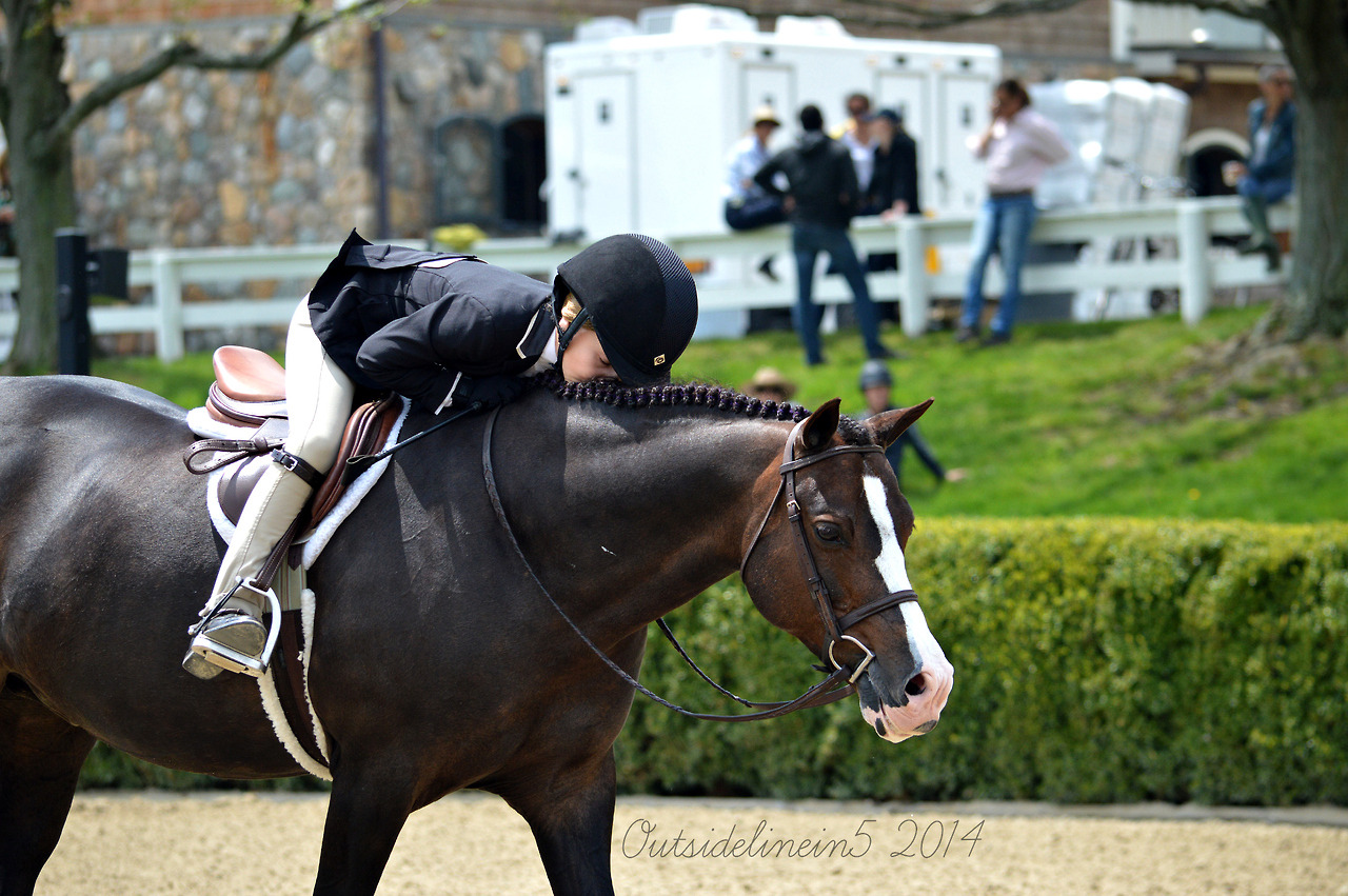 A Hunter Jumpers Life: Photo