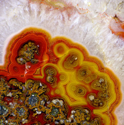 fuckyeahmineralogy:  Agate; Kerrouchene,