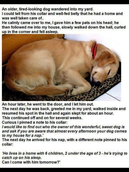 aestiah:  awwww-cute:  Aww, made my day  kids 