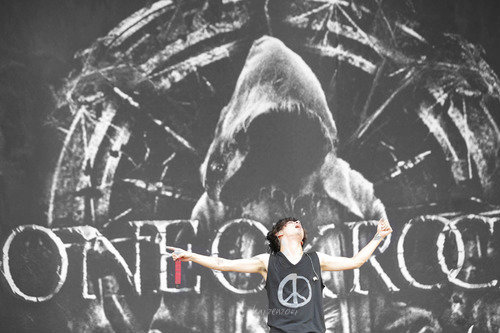 kaizenzori:  photo credit pf.oneokrock edited 