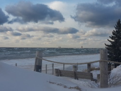 Gorgeous day out by the lake today. Cold as fuck, but still gorgeous.