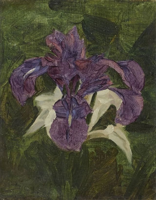 Still life of Iris, 1903, Frank Bramley (1857 - 1915)  
- Oil on Canvas - 