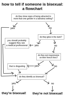 thegingerpunk:  bi-privilege:  helpful flowchart on how to tell if someone is bisexual. since the people running that study in the ny times seems to have forgotten.  I EAT MAYONNAISE ON MY FRENCH FRIES