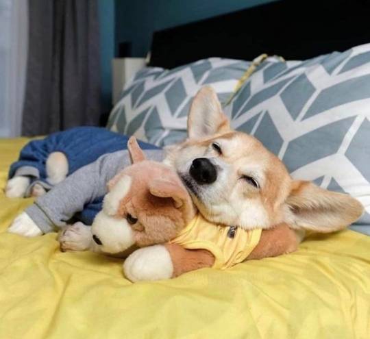 best friends 📷 by michaelsenpatrick