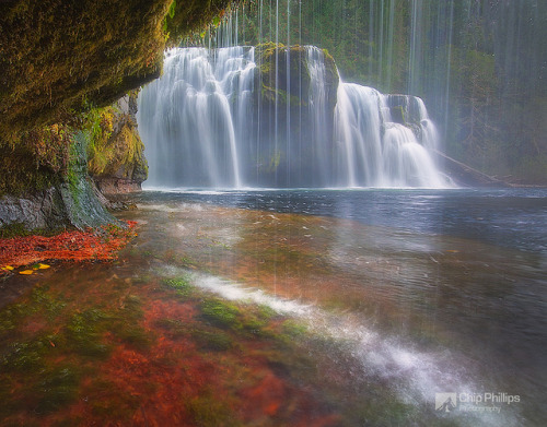 Lewis River Falls Cave by Chip Phillips on Flickr.