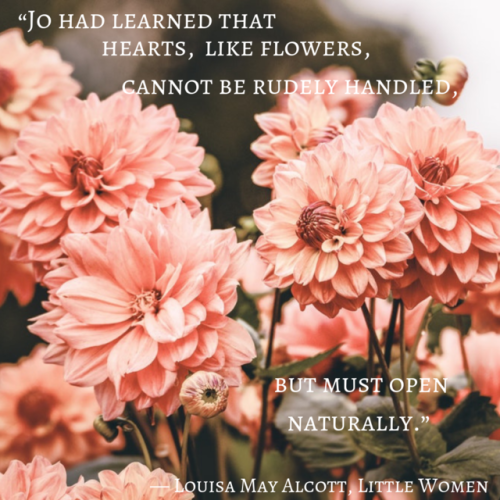 gens-venturia - Here's Some Book Quotes