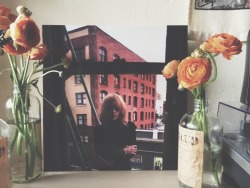 choirsofwinter:  favorite flowers (ranunculuses) + favorite time of day (sunset) + favorite jessica pratt record (on your own love again)