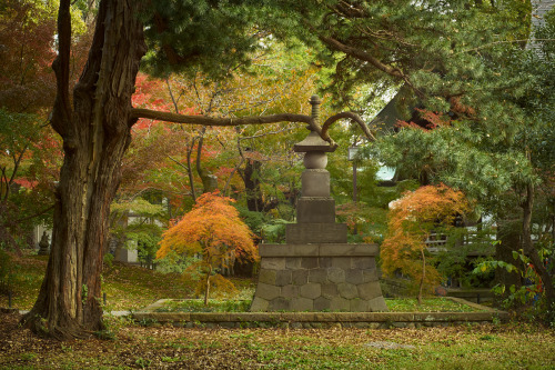 the-colors-of-tokyo: Finally Autumn at the Temple My secret place in Small Town Tokyo