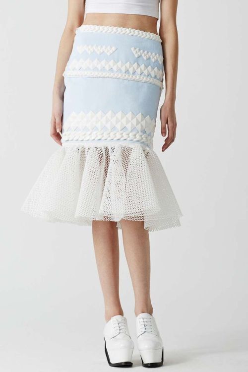 Ruffle Netting Fitted Embellished Skirt