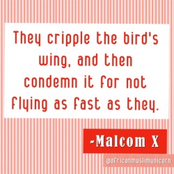 africanmuslimunicorn: They cripple his wing and his very soul,  making him think he is worthless, feckless and unwanted.  His tears are silent. His voice drowned by his tormentor’s. But there comes the time, he finds his brothers-with-the-missing-wing,