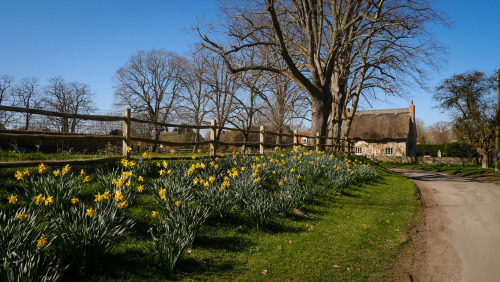 spiritusloci:Oxfordshire villages, March 2022