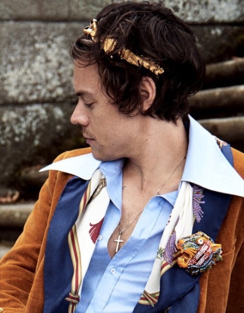 punkbandsharry: DIED AND WENT TO HEAVEN HARRYS GUCCI CAMPAIGN IS EVERYTHING 